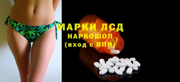 хмурый Алзамай