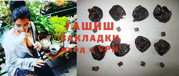 хмурый Алзамай