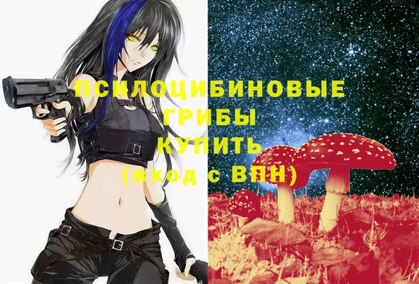 МДМА Алексин